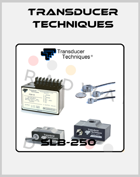 SLB-250  Transducer Techniques