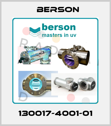 130017-4001-01 Berson