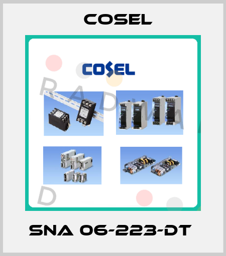 SNA 06-223-DT  Cosel