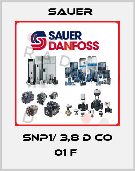 SNP1/ 3,8 D CO 01 F  Sauer