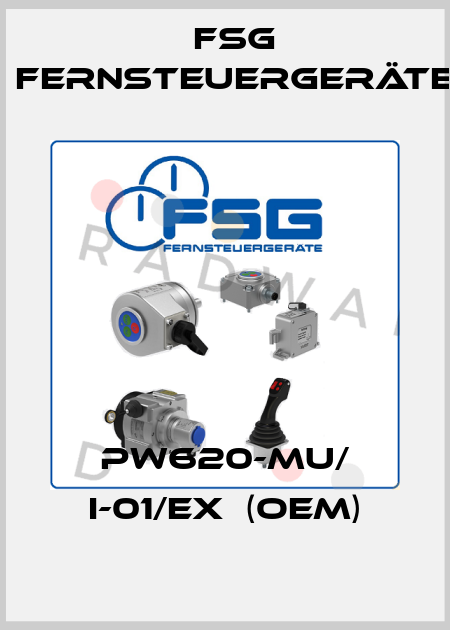 PW620-Mu/ i-01/Ex  (OEM) FSG Fernsteuergeräte