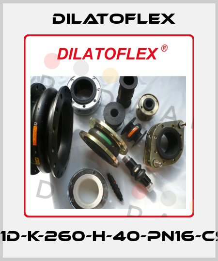 ED6061D-K-260-H-40-PN16-CS-MAR DILATOFLEX