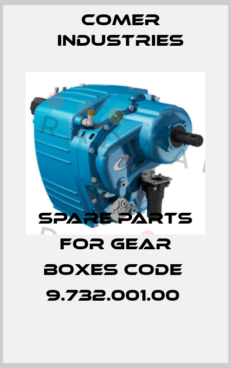 SPARE PARTS FOR GEAR BOXES CODE  9.732.001.00  Comer Industries