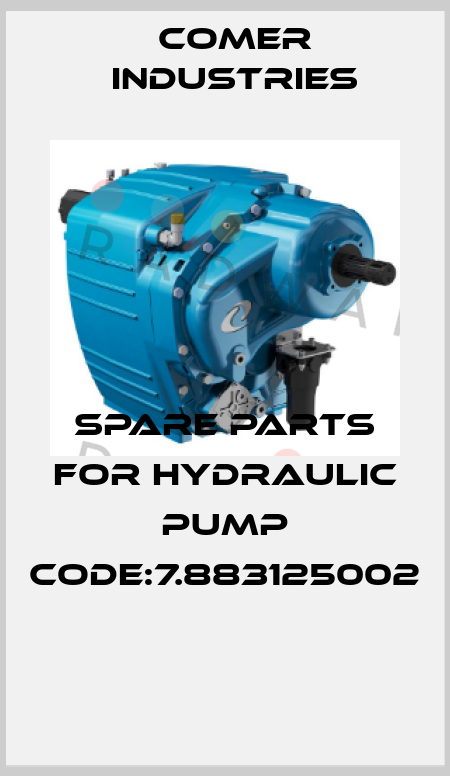SPARE PARTS FOR HYDRAULIC PUMP CODE:7.883125002  Comer Industries