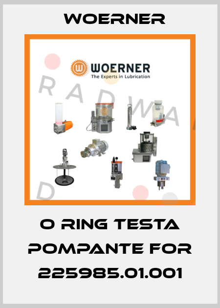 O ring testa pompante for 225985.01.001 Woerner
