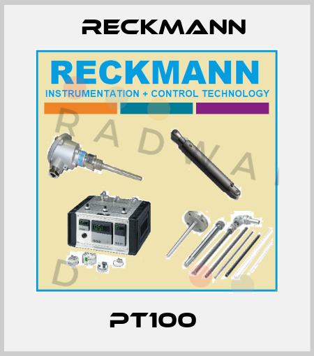 PT100  Reckmann