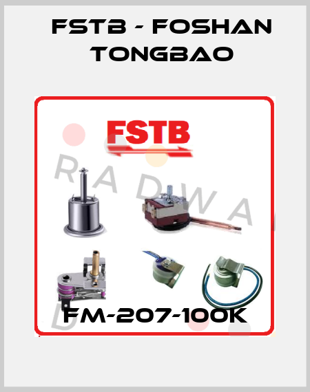 FM-207-100K FSTB - Foshan Tongbao