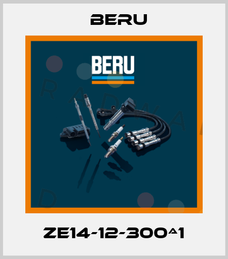ZE14-12-300ª1 Beru