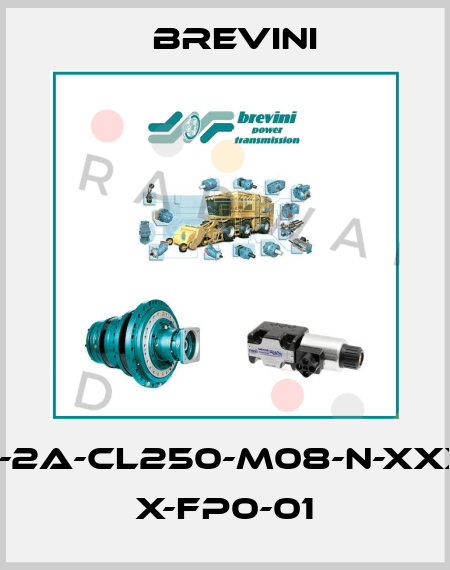 BR-100-O-2A-CL250-M08-N-XXXX-000-X X-FP0-01 Brevini