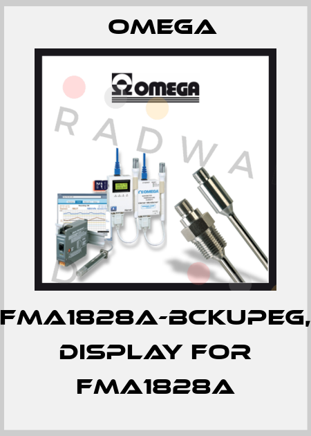 FMA1828A-BCKUPEG, DISPLAY FOR FMA1828A Omega