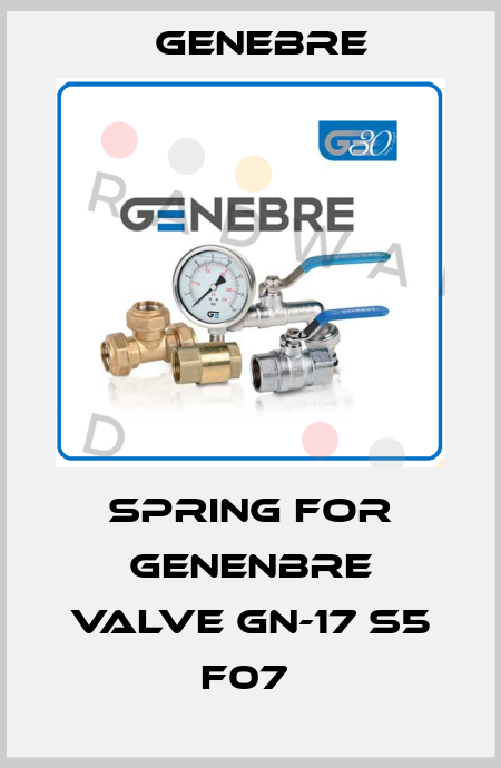 Spring for Genenbre valve GN-17 S5 F07  Genebre