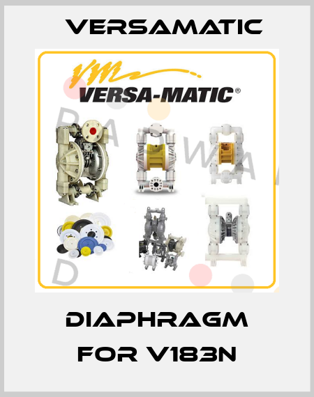 Diaphragm for V183N VersaMatic
