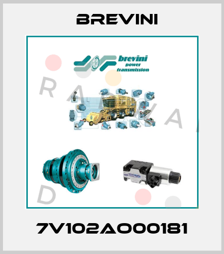 7V102AO00181 Brevini