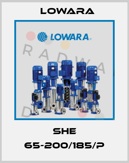 SHE 65-200/185/P Lowara