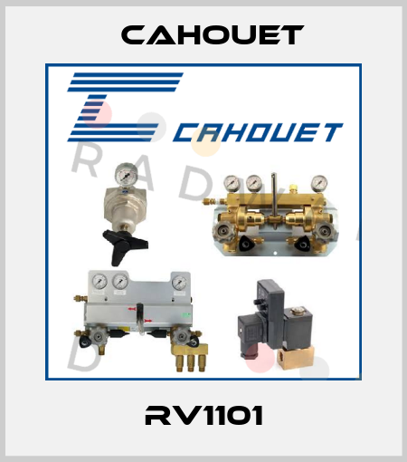 RV1101 Cahouet