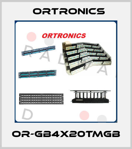 OR-GB4X20TMGB Ortronics