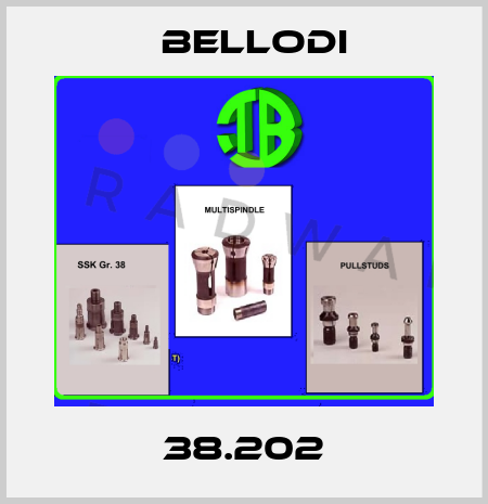 38.202 Bellodi
