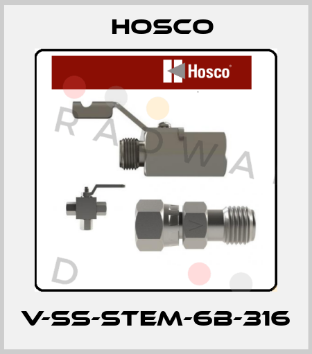 V-SS-STEM-6B-316 Hosco