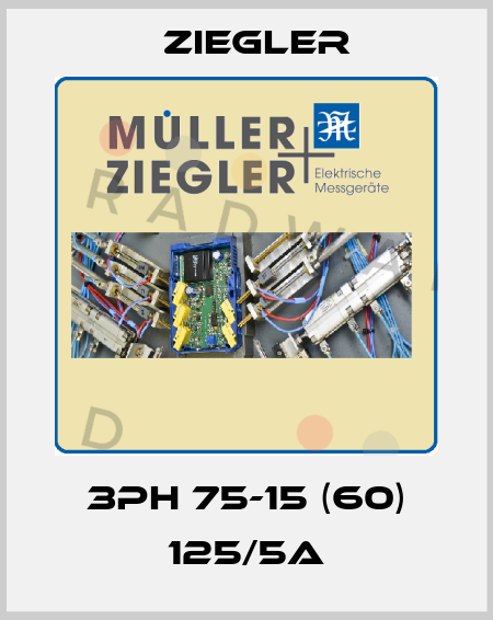 3PH 75-15 (60) 125/5A Ziegler