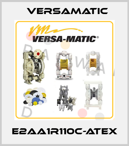 E2AA1R110C-ATEX VersaMatic