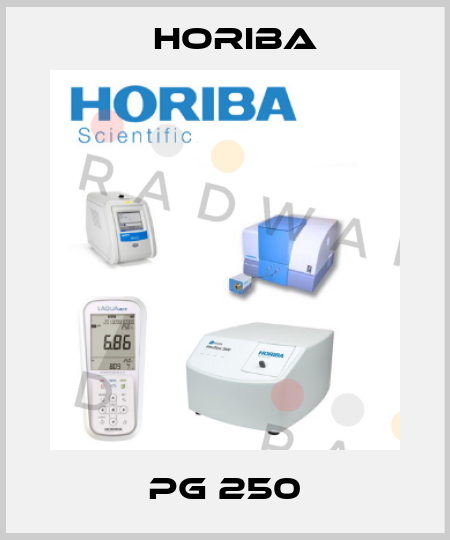  PG 250 Horiba