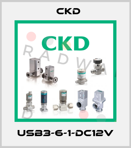 USB3-6-1-DC12V Ckd