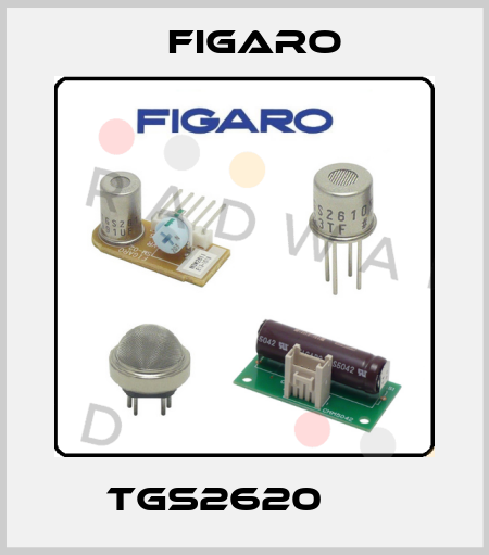 TGS2620      Figaro