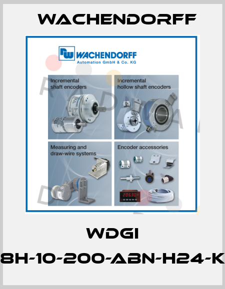 WDGI 58H-10-200-ABN-H24-K3 Wachendorff