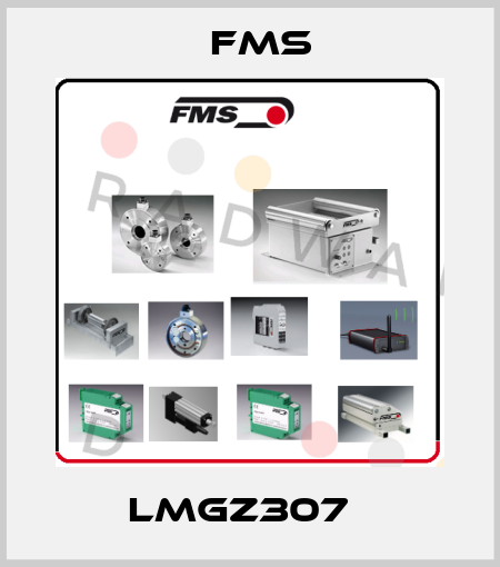 LMGZ307   Fms