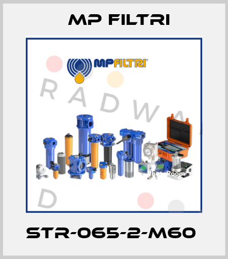 STR-065-2-M60  MP Filtri