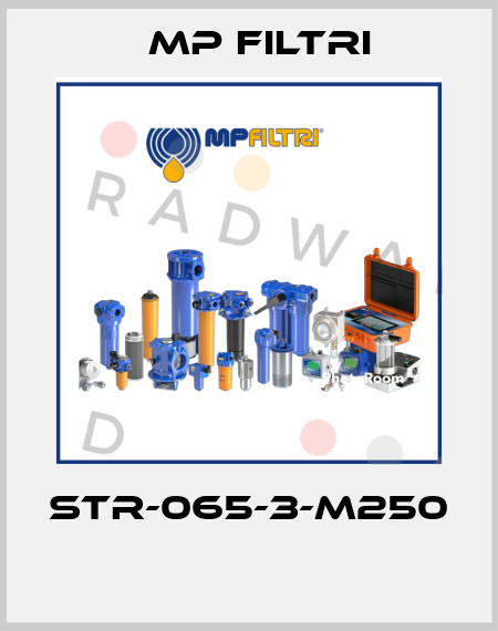 STR-065-3-M250  MP Filtri