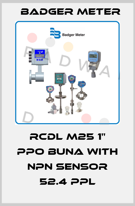 RCDL M25 1" PPO Buna with NPN Sensor 52.4 PPL Badger Meter