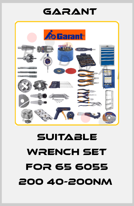SUITABLE WRENCH SET FOR 65 6055 200 40-200NM  Garant