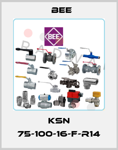 KSN 75-100-16-F-R14 BEE