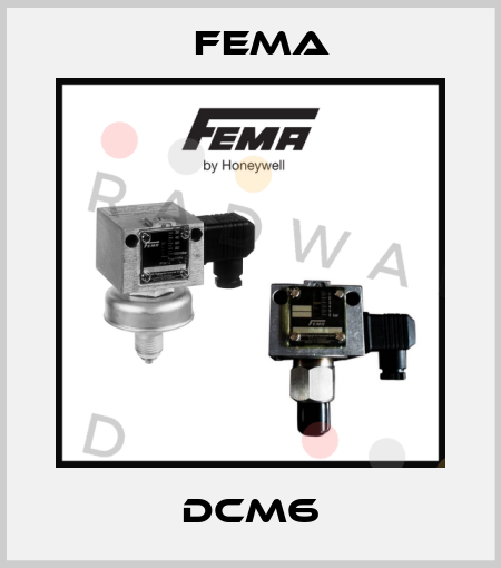 DCM6 FEMA