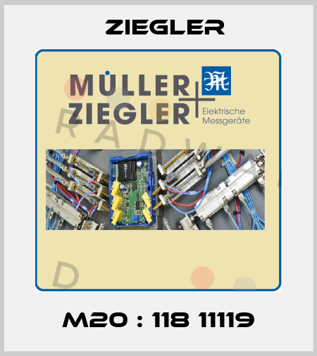 M20 : 118 11119 Ziegler