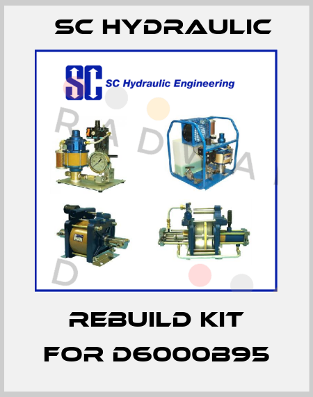 Rebuild kit for D6000B95 SC Hydraulic