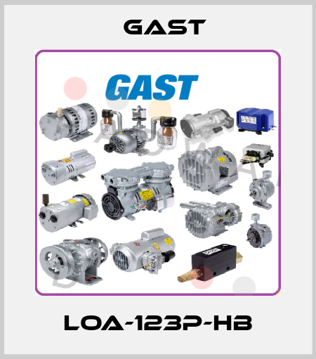 LOA-123P-HB Gast