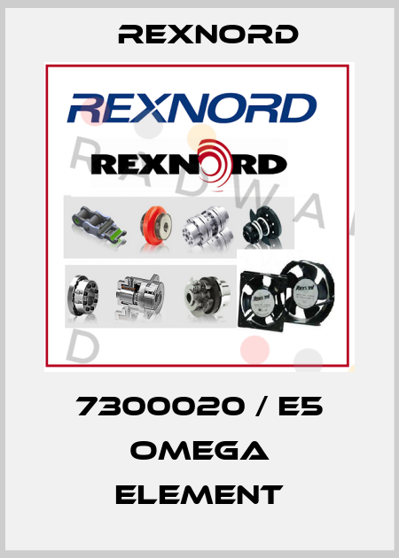 7300020 / E5 Omega Element Rexnord