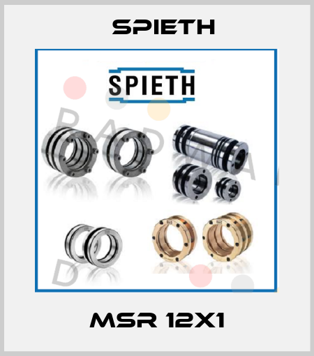 MSR 12X1 Spieth