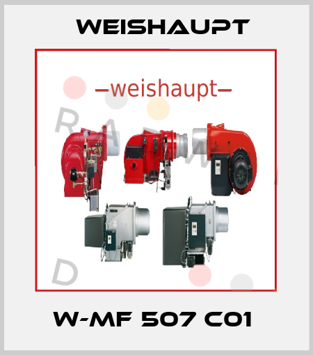W-MF 507 C01  Weishaupt