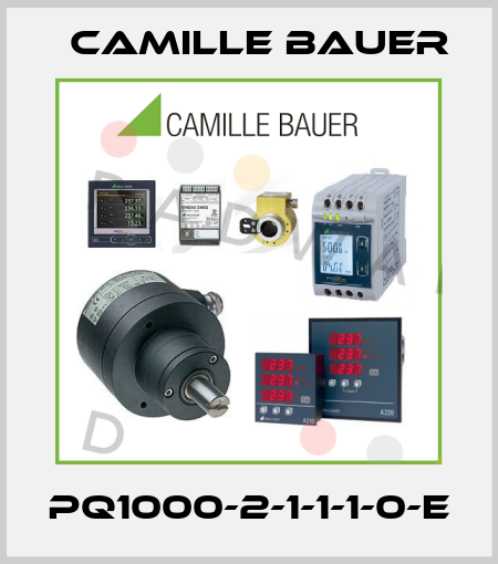 PQ1000-2-1-1-1-0-E Camille Bauer