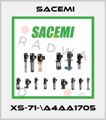 XS-71-\A4AA1705 Sacemi