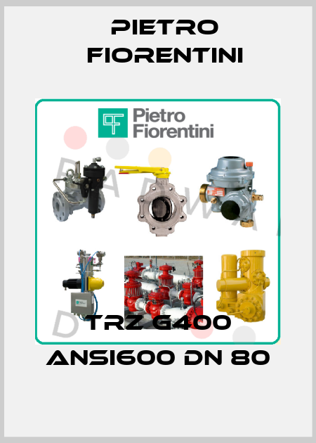 TRZ G400 ANSI600 DN 80 Pietro Fiorentini