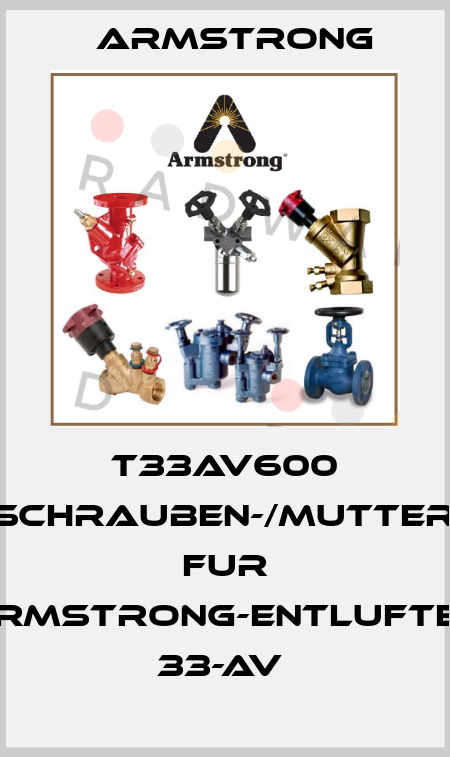 T33AV600 33-AV-SCHRAUBEN-/MUTTERNSATZ FUR ARMSTRONG-ENTLUFTER 33-AV  Armstrong