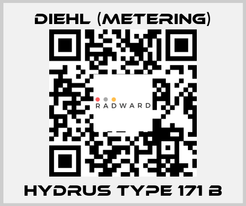 Hydrus Type 171 B Diehl (Metering)