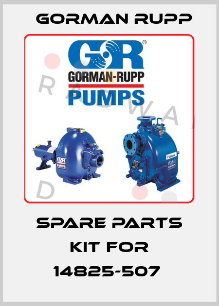 spare parts kit for 14825-507  Gorman Rupp