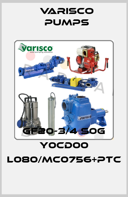 GF20-3/4 S0G Y0CD00 L080/MC0756+PTC Varisco pumps