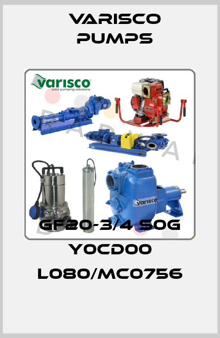 GF20-3/4 S0G Y0CD00 L080/MC0756 Varisco pumps