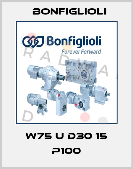 W75 U D30 15 P100 Bonfiglioli